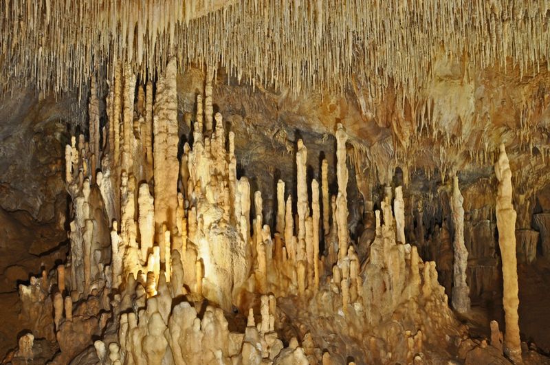 Grottes de Cougnac